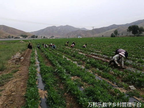 乡镇年轻干部座谈会发言材料范文6篇