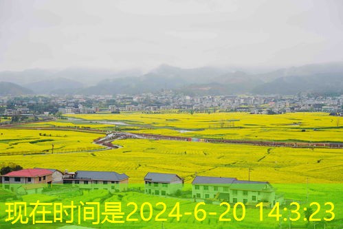 农村土地流转全面解析：模式、影响与未来展望