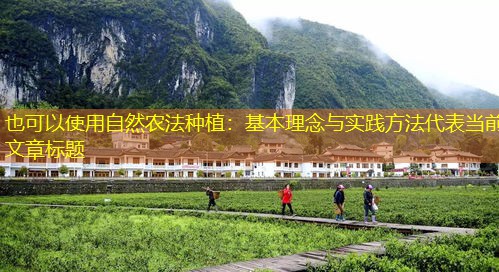 自然农法种植：基本理念与实践方法