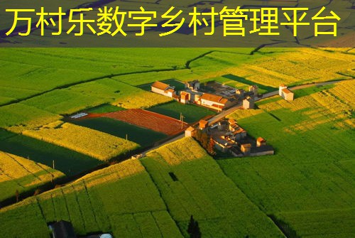 乡村智能制造系统：定义、技术与农村经济发展