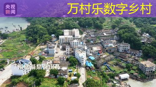 农村智慧物流仓储体系建设：技术革新与未来趋势