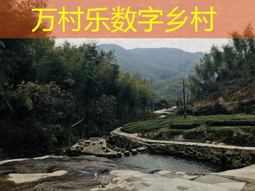 乡村治理与生态环境保护：策略与实践