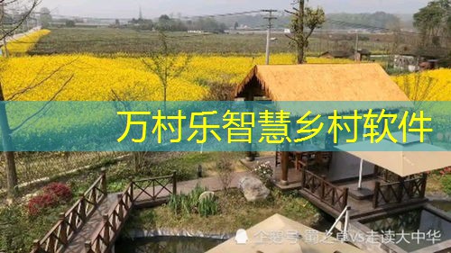 乡村治理新篇章：德治引领作用凸显与实践策略