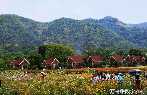 智慧乡村建设中的居民参与机制：现状、挑战与提升策略