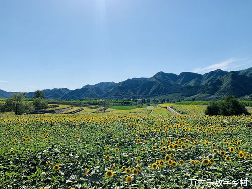 乡村治理中的区块链数据安全管理：应用现状与未来趋势