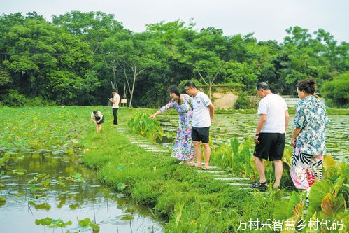 数字乡村人才培养与引进：构建未来乡村发展的关键策略