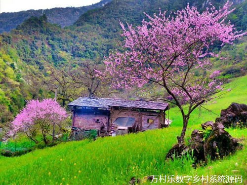 数字支付安全与乡村振兴策略——探索数字支付在乡村产业振兴的应用与实践