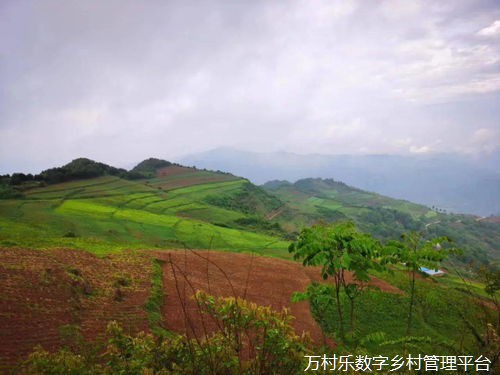 乡村振兴数字影院建设攻略：文化振兴与市场繁荣之路