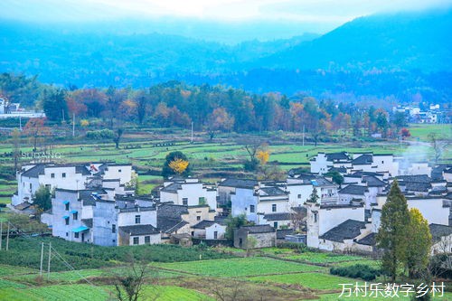 农业数字化转型与乡村产业振兴：数字能源设施建设与市场开拓之路