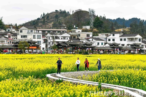 农村残疾人事业振兴之路：从现状挑战到产业发展与市场拓展