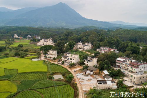 数字乡村智慧农业发展攻略：从内涵价值到市场开拓的全方位路径