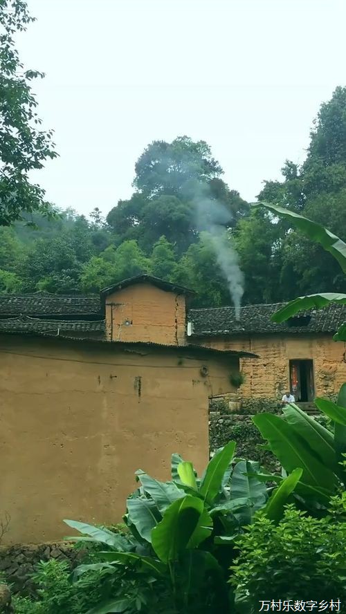 广西贵港覃塘区探索实施乡村治理模式显成效