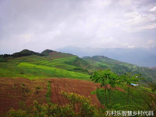 数字乡村发展蓝图：大数据引领农业振兴之路