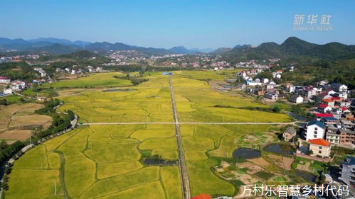 农村基础设施建设与乡村振兴的生态保护策略探析