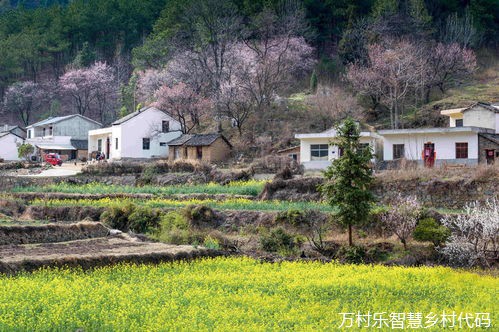 农村党风廉政建设：推动乡村振兴战略的利器