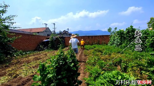 无锡为乡村插上“数字化”翅膀，构筑数字乡村建设新图景