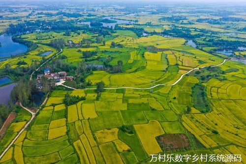 首批代孕白山羊9月出生、蔬果生长的土壤更健康……崇明打造长三角农业硅谷 创新农业有点不一样