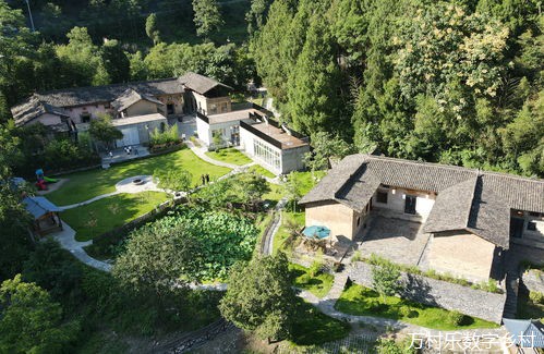 数字乡村共同体建设困境及其进路