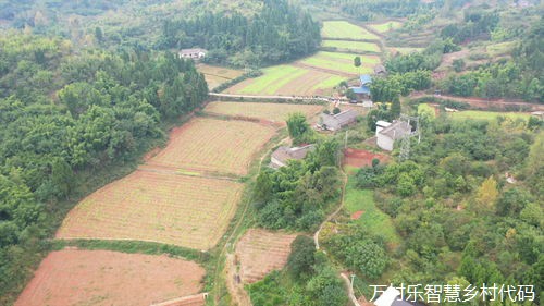 普定：“数字乡村”建设跑出乡村振兴加速度