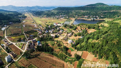 乡村养老解困之路：现状分析、挑战与政策探索